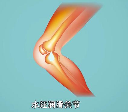 喝水對人體關(guān)節(jié)器官有什么作用？